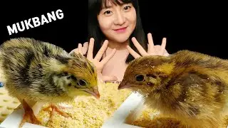 Mukbang :) The soy-braised quail eggs I love are thanks to these little guys, haha.
