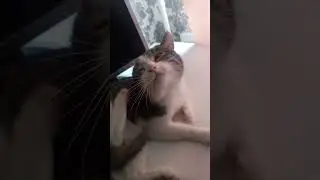 уже 10к подписчиков 😻 
