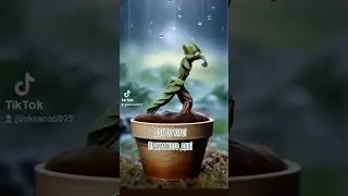 Доброе утро! Прекрасного дня!