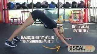 Scaled Dive-Bomb Push up