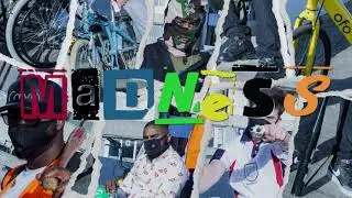 Charlie Trees - Madness ft Shannon Parkes & Ten Dixon (Visualizer)