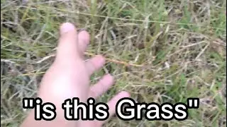 Rare Footage of a Gamer Touching Grass