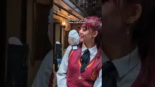 Harry Potter Interactive Owls are FINALLY available at CityWalk Hollywood!