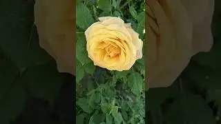 22 мая 2024 г