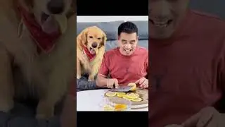 Limonun tadı hayal ettiği gibi çıkmayınca dostuna girişen #golden 😂
