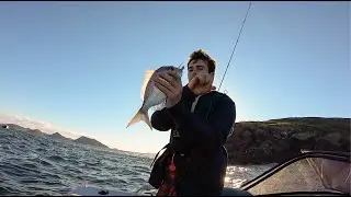 Spearing, Fishing and Exploring Broughton Island and Port Stephens (Snapper, Stingray and Morwong)