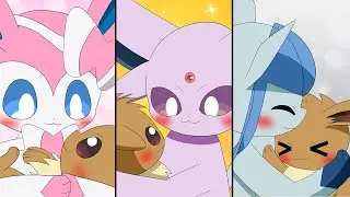 Eevee is very popular with Eeveelution! | Pokémon Animation