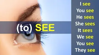 (to) SEE | Simple Present