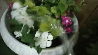Magdilig muna tau ng Bulaklak