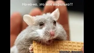 🔥🔥🔥ОВЕРВОТЧ ЛУЧШИЕ МОМЕНТЫ СО СТРИМА🔥🔥🔥