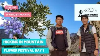 Plucking flowers from the mountains |  | leh Ladakh |  flower festival day 1