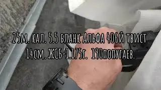 Отстрел пневматического пистолета Волк Временное видео.