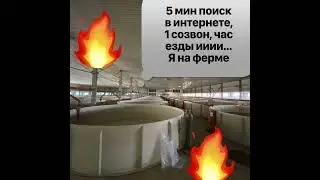 Зарыбление стерлядкой, осетром и сазанчиками.