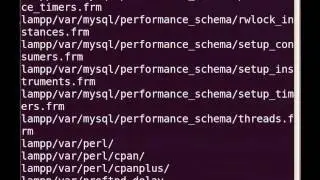 How to Install XAMPP Web Server in Linux Environment - Tutorial [English]