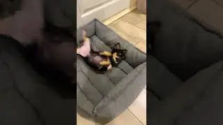 Спокойной ночи. Увидимся завтра утром 