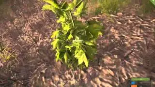 Run Away - Attacked by Bad Guys - Rust Gameplay