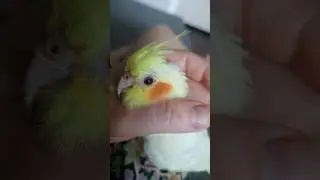 Моя Художница .Узнаёте?