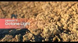 Learn motion design - Octane Light
