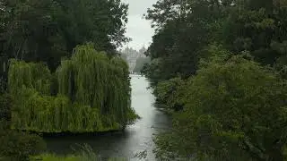 Free CopyRight Video  (Rain relaxing video).   @danyk9905