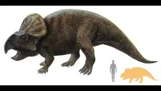 The History of paleoillustrations:Protoceratops