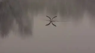 Снежные воспоминания ❄ 2020
