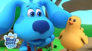 Cute Chicken Song 🐣 in Arabic + English! | Nursery Rhymes & Kids Songs | Blue’s Clues & You!