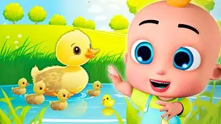 Cute Farmer Pets Songs | Five Little Ducks 🐤 & More Funny Nursery Rhymes