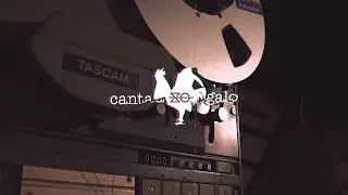 Slow Gang - Canta Galo (Videoclipe Oficial)