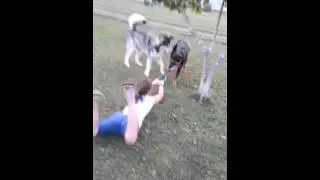 Emma vs. Ruger 2012