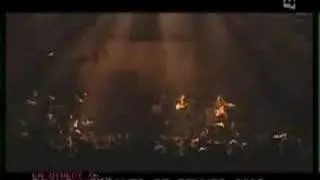 Albert Hammond Jr. Scared & 101 live at transmusicals