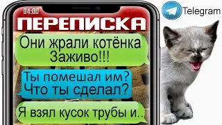 Спасение котёнка от нелюдей - жутко грустная переписка. Котёнок нашёл дом