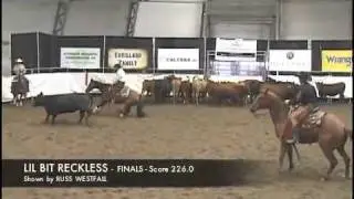 2011 STAMPEDE CUTTING - OPEN CHAMPION