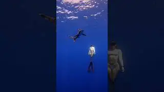 The most dangerous animal   in the world