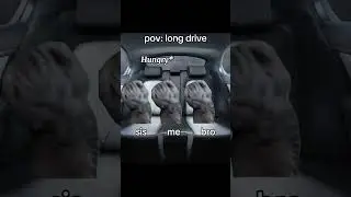 Cat memes #like #memes #subscribe #shorts #share #viral #youtubeshorts #funny #ytshorts #yt #cats