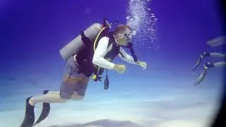 Cozumel Paso Del Cedral and Yucab Reef