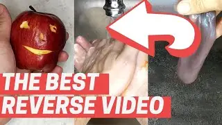 BEST REVERSE How To Peel An Apple | Dirty Hands | Naughty Slime