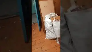 Содержание и ремонт многоквартирного дома