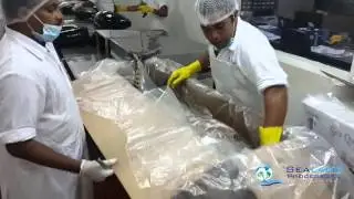 Sealand Processors Production