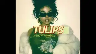 [FREE] Ariana Grande X Doja Cat “Tulips” 2023 Pop-Rap Type Beat