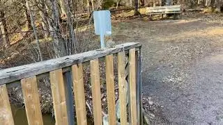 Cute squirrel close up eating bird food so adorable