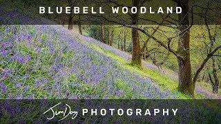 Bluebell Woodland Photography on the Malvern Hills