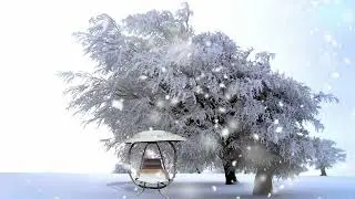 Swing N Solar Winter rev 2