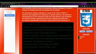 How to customize an input checkbox in CSS