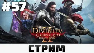 Divinity: Original Sin 2 | Карон #57