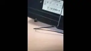 Бедная девочка сломала клавиатуру😭😭😭 Ои какая тупая Аж Батя пришел от криков