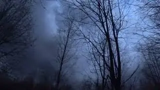ОХОТА на Вальдшнепа,на тяге.
