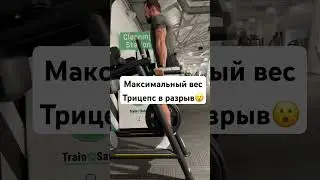 Трицепс ушел с чата…