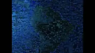 Hasta quando
