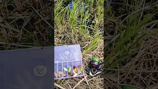 Лучшие ТОП  блесны👍👍👍Рыбалка #fishing #рыбалка #shorts #fish
