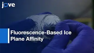Determine Ice-Binding Planes-Antifreeze Proteins: Fluorescence-Based l Protocol Preview
